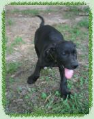 Cleo 6/18/06