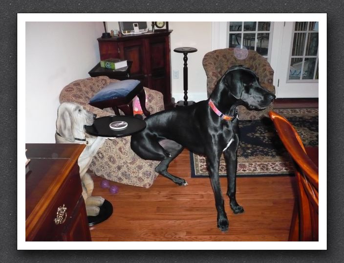 Squeezing on the Edge