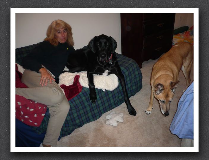 Huury up and take the picture