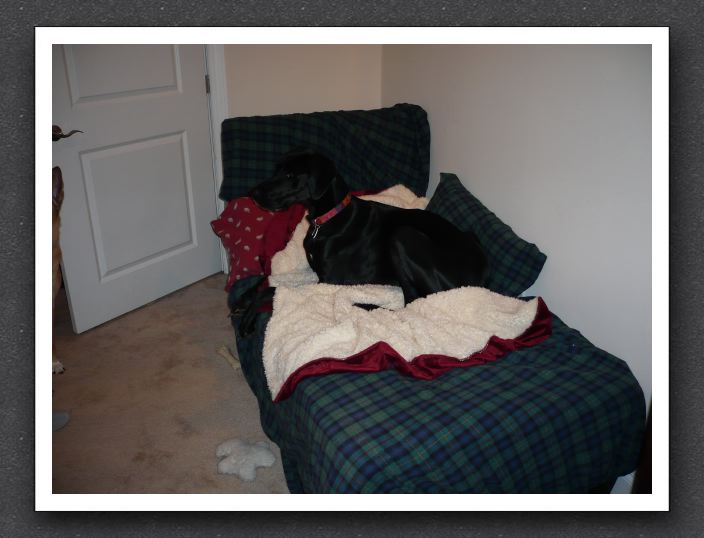 And her sheepskin blanket