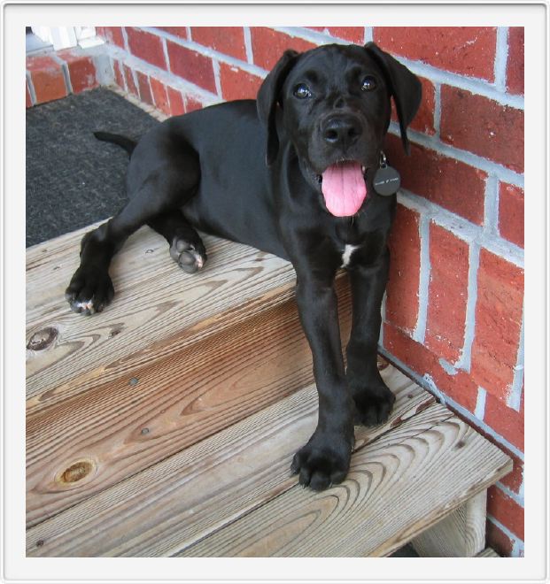 Sitting on the steps