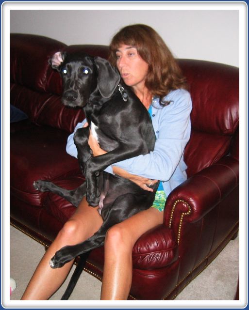 On MummyDog's lap