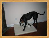 Playing with Sparky