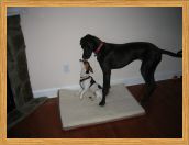 Playing with Sparky
